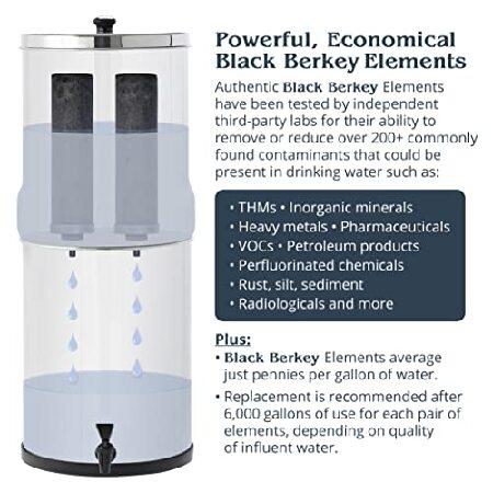 並行輸入品】バーキー 浄水器 交換用フィルター BB9-2 Black (2個 