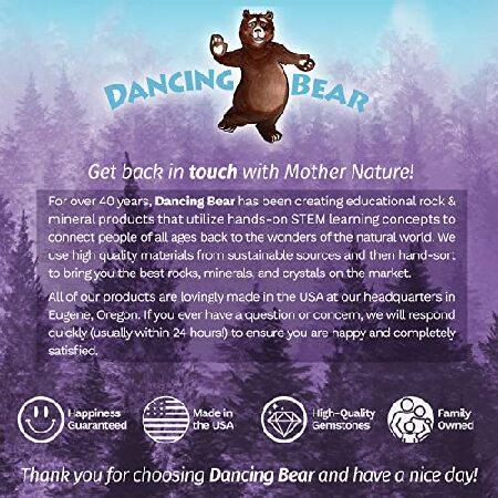 の割引クーポン (ダンシング ・ ベア)Dancing Bear Tumbled Rocks and Minerals Party Favor Bag Kit. Enough Stones， Pyrite， Arrowheads， ＆(並行輸入品)