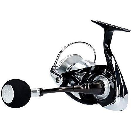 ダイワ(DAIWA) スピニングリール 19 レグザ LT6000D-H (2019 ダイワ(DAIWA) スピニングリール 19 レグザ LT6000D-H (2019