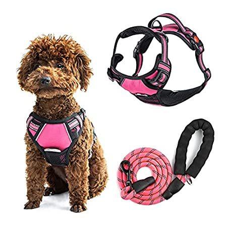お気にいる ベスト リード ハーネス 犬用 Wit Harnesses Vest Reflective Pet Padded 調整可能 Pull No Set Leash And 犬用ハーネス 並行輸入品 海外製 おしゃれ 首輪 ハーネス リード Avangard Zsm Ru