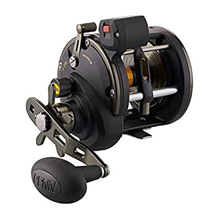PENN Squall II Level Wind Conventional Fishing Reel， Black Gold， 15