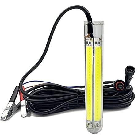 PYLITE DC12V 30W/50W 3500/6000Lumens COB LED Underwater Fishing Light Innov