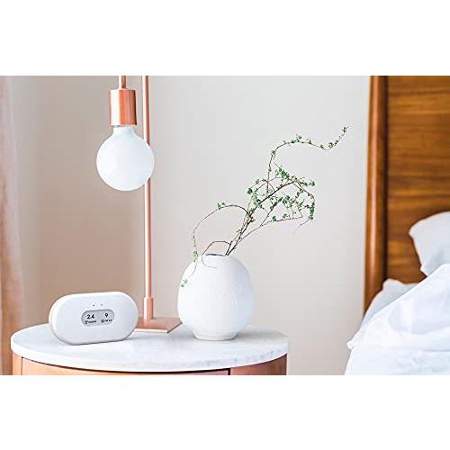並行輸入品】Airthings 空気品質モニター 2960 View Plus - Radon (PM