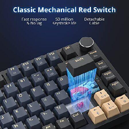 ネットオンラインストア Fogruaden 75% Wired メカニカル ゲーミングキーボード 75 Percent キーボード Hot Swappable， Red スイッチ， RGB Backlit 82 Keys TKL メカニカル キーボード，