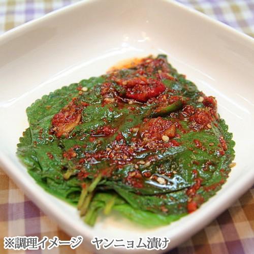 生 えごまの葉 (約20枚入) 韓国産 : 韓国広場 - 韓国食品のお店 - 通販