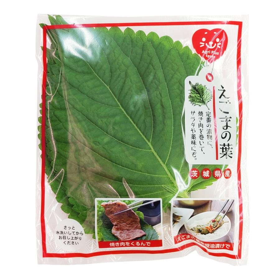 生 えごまの葉 10枚入 茨城産 韓国広場 韓国食品のお店 通販 Yahoo ショッピング