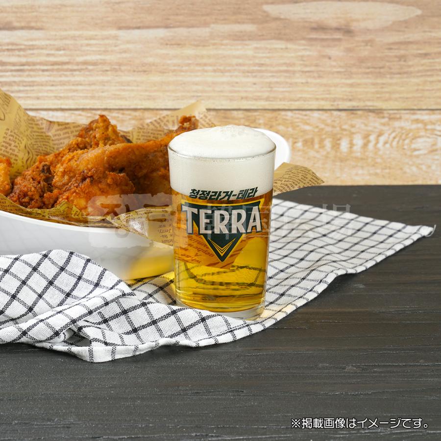 JINRO（眞露） JINRO TERRAビール 330ml (瓶) / 韓国お酒 : 韓国広場