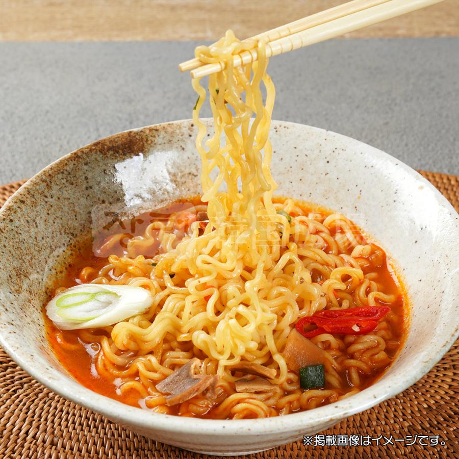 NONGSHIM（農心） 辛ラーメン 120g マルチパック (5個入) sale : 韓国
