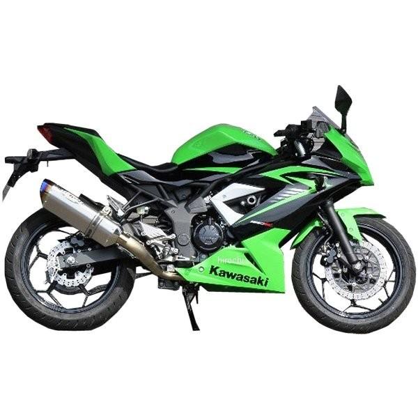 0227-KD2-50 ビート BEET フルエキゾースト ナサートエボリューション TYPE2 15年-17年 Z250SL、Ninja250SL クリアチタン HD店