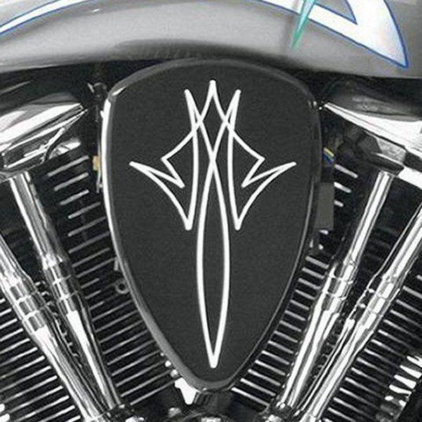 Harley Davidson - 【USA棚卸し資産あり】 1010-0773 バロン BARON エアクリーナーキット 06年以後 バルカン VN900B ピン縞模様 黒 固定ディスク店
