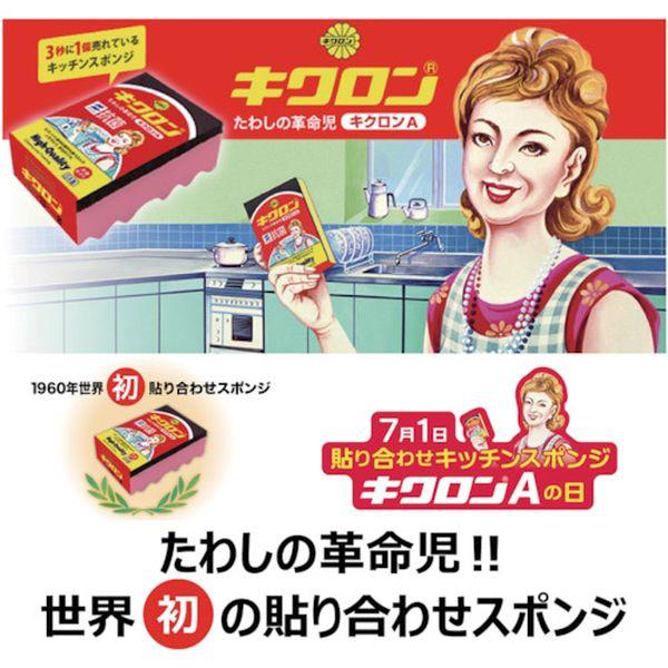 キクロン 【メーカー在庫あり】 102594 キクロン(株) キクロンA 袋入 Y