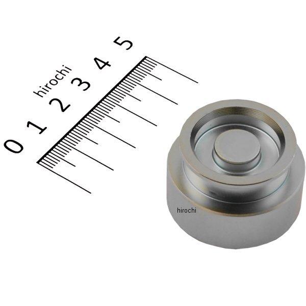 ぶりっじです！4/26まで Sea Cliff Bridge in Japan Photo