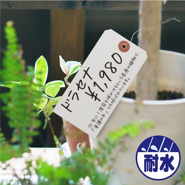【メーカー在庫あり】 25-1230 251230 (株)ササガワ ササガワ ユポ荷札 大 1000枚入 HD店_2
