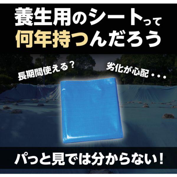 【VIPセール】【メーカー在庫あり】 3NST3654 萩原工業(株) 萩原 ターピー 3年シート 3.6mX5.4m ホワイト HD店