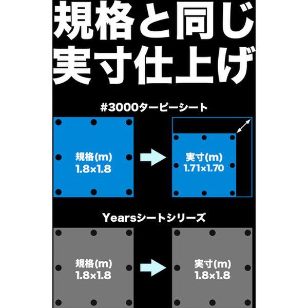 【VIPセール】【メーカー在庫あり】 3NST3654 萩原工業(株) 萩原 ターピー 3年シート 3.6mX5.4m ホワイト HD店