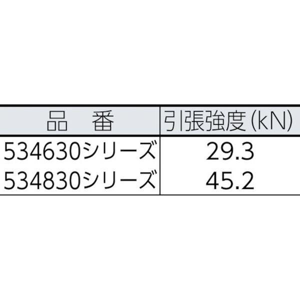 【メーカー在庫あり】 534830WHRD BlueWater社 BlueWater セイフライン 12.7φ×91m 白/赤 HD｜hirochi2｜02