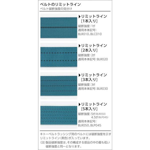 【メーカー在庫あり】 BLR030HA010HA060 ベルトラッシング ラチェットバックル 50mm幅 破断荷重30kN 最大使用力7.5kN 両端フックAタイプ 巻取側6m HD店の画像