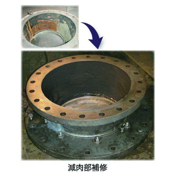 【メーカー在庫あり】 DV10130J A 25lb(11.3kg)鉄粉標準タイプ HD店の画像
