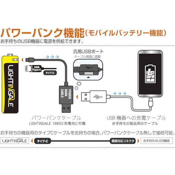 【メーカー在庫あり】 LTG1004-26 LTG100426 LEDミニランタンBonfire＋2600mAh充電池 HD店_10