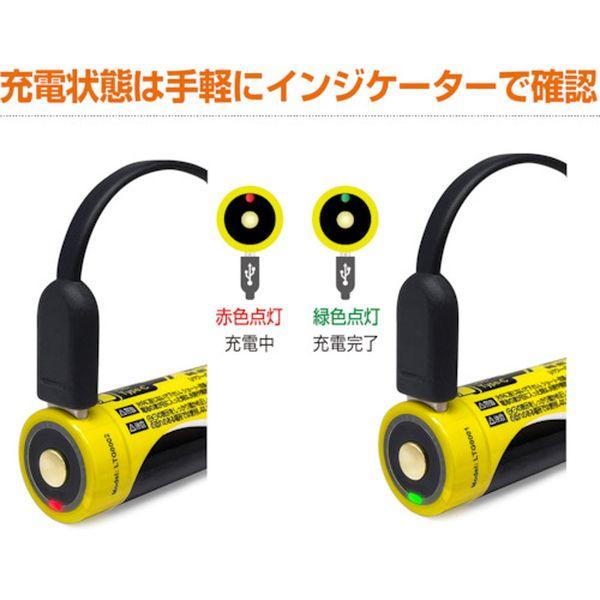 【メーカー在庫あり】 LTG1004-26 LTG100426 LEDミニランタンBonfire＋2600mAh充電池 HD店_7