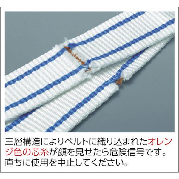 【メーカー在庫あり】 PP2E50X3-5 PP2E50X3.5 (株)テザック TESAC 耐化学薬品用スリング(JIS2等級・両端アイ形)50mm幅×3.5m HD店の画像