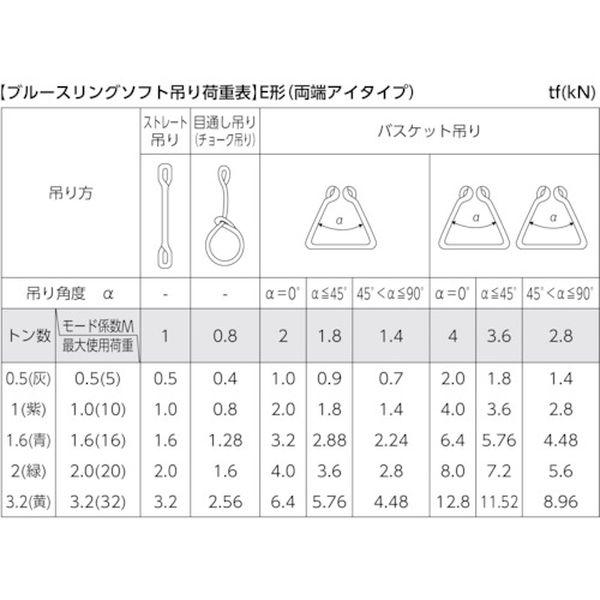 【メーカー在庫あり】 TBSE3.2TX5M ブルースリングソフトE形(両端アイタイプ)荷重3.2t 全長5m(JIS規格品) HD店の画像