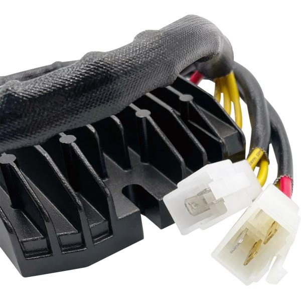 2112-1808 Rick's Motorsport Electrics リチウムイオン対応