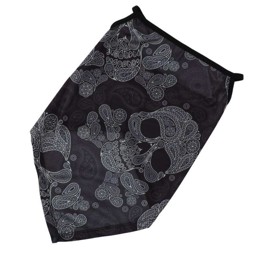 Tbe1100 ライズ Ridez バンダナイヤーループ スカル2 フリーサイズ Sp店 本命ギフト