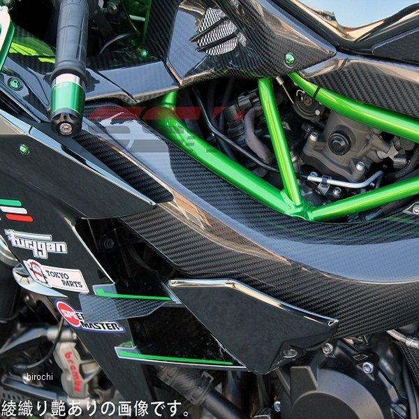 SPEEDRA ラムエアダクトカバー スピードラ 左右セット SSK ドライ