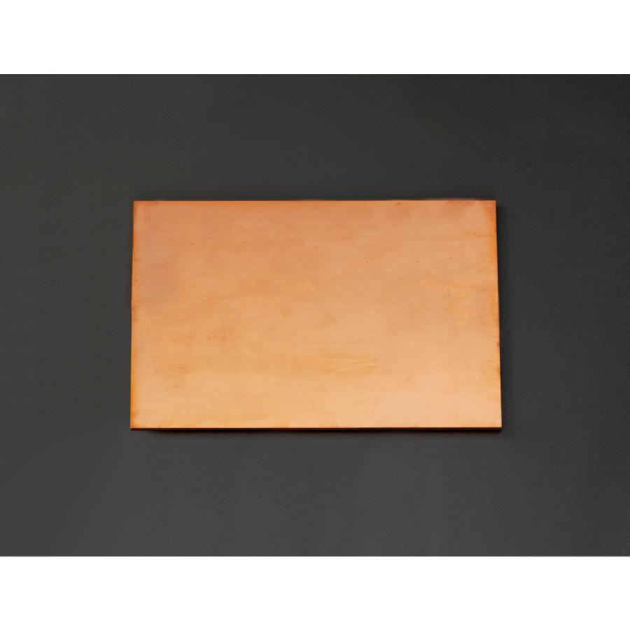 【メーカー在庫あり】 000012219980 エスコ ESCO 600x200x10.0mm 銅板 SP店