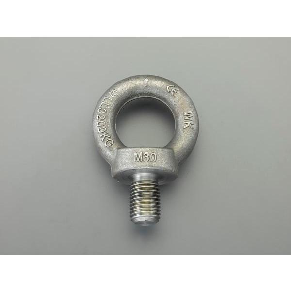 【メーカー在庫あり】 000012295313 M48x 68mm アイボルト(炭素鋼製) SP店