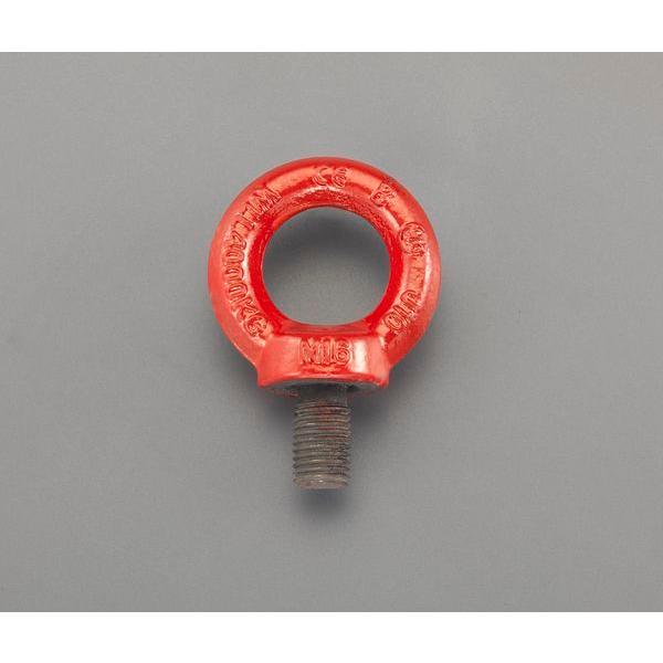 【メーカー在庫あり】 000012295318 M42x63mm 強力型アイボルト SP店