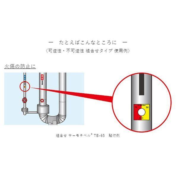 【メーカー在庫あり】 000012334646 エスコ ESCO 65℃ 示温材(サーモラベル/組合せ型/80枚) SP店の画像