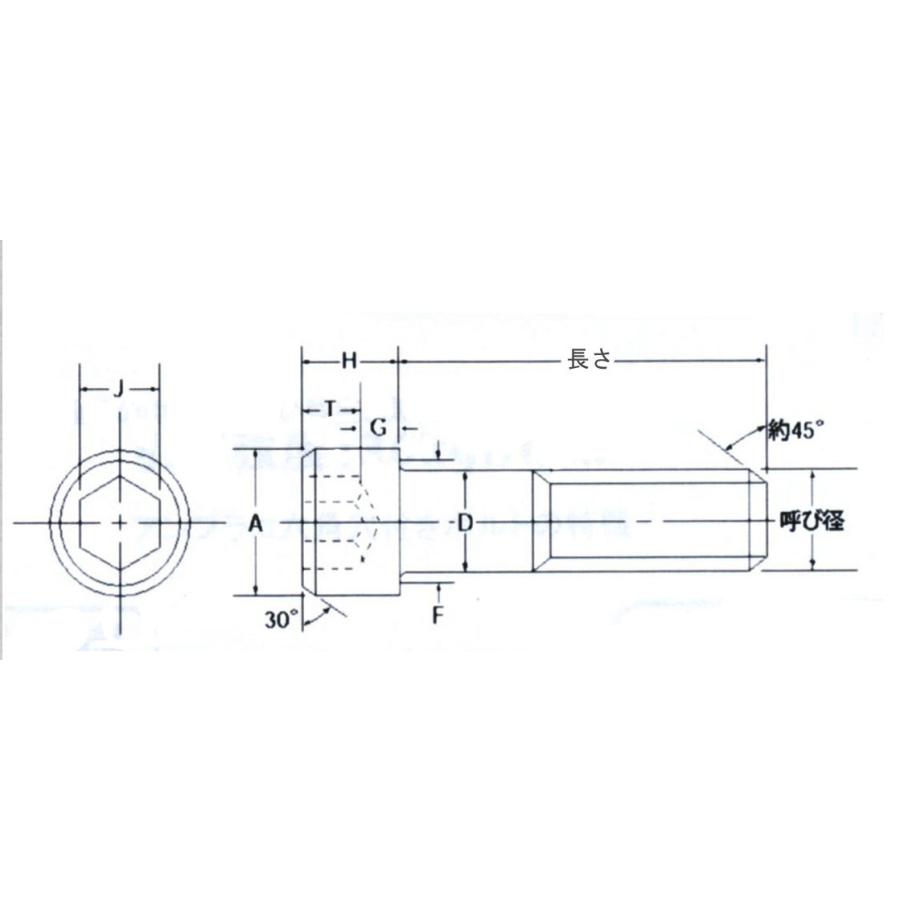 【メーカー在庫あり】 000012234208 エスコ ESCO M24 x100高強度・高張力 六角穴付ボルト SP店の画像