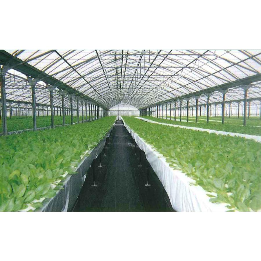 【メーカー在庫あり】 000012244154 エスコ ESCO 2.0x100m 防草シート SP店の画像