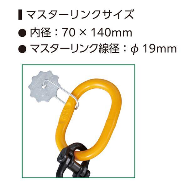 【メーカー在庫あり】 EA981VH-3 エスコ ESCO 3.0ton チェーンフック SP店_1
