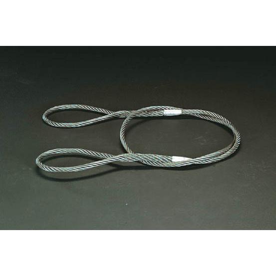 【メーカー在庫あり】 000012010042 エスコ ESCO 28mmx6.0m ワイヤースリング SP店