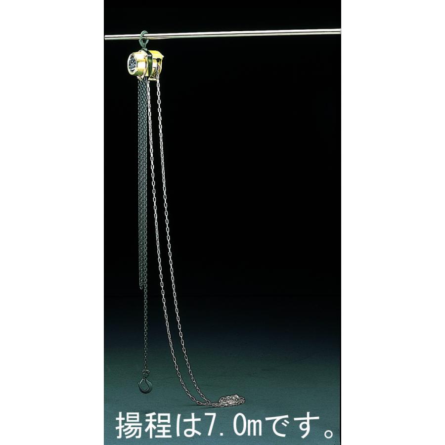 【メーカー在庫あり】 000012028728 エスコ ESCO 150kgx7.0m チェーンブロック SP店