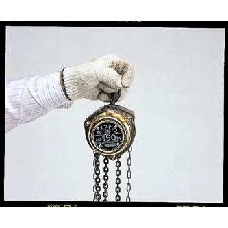 【メーカー在庫あり】 000012028728 エスコ ESCO 150kgx7.0m チェーンブロック SP店の画像