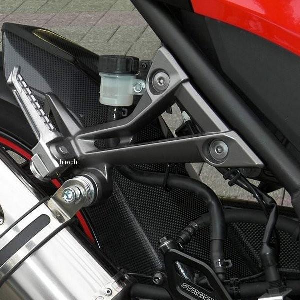 SAD-RF117C-A ストライカー STRIKER リアフェンダー ノーマルスイングアーム用 13年以降 ニンジャ250、ニンジャ250ABS カーボン SP店