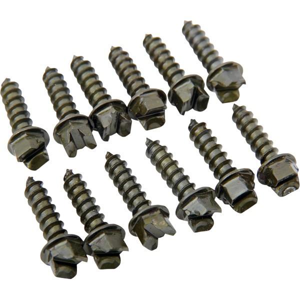 【USA在庫あり】 1250-0306 ゴールドスクリュー Gold Screws アイススクリュー 粗ネジ 3/4インチ Pro-ゴールド (1000個入り) JP店