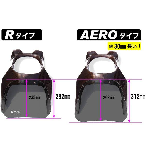 ds-06r-4c ワールドウォーク ビキニカウルR Z900RS メタリック
