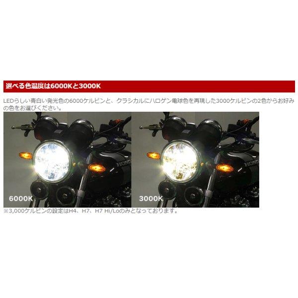 その他 MASU PROTEC（プロテック） 65067 PROTEC LB4-OF LEDヘッドライトバルブ