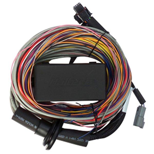 【USA在庫あり】 halHT-140604 Haltech Elite 750 8ft Premium Universal Wire-In Harness JP店 | ブランド登録なし