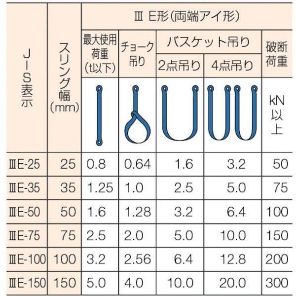 Hot国産 S3e 100x4 0 S3e100x4 0 東レインターナショナル 株 シライ シグナルスリング S3e 両端アイ