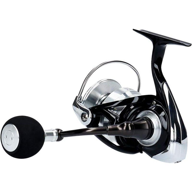 ダイワ(DAIWA) スピニングリール 19 2024 レグザ LT6000D-H (2019