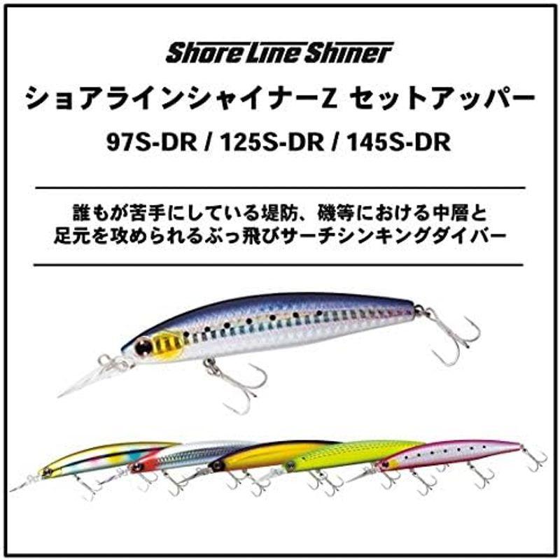 ダイワ(DAIWA) ショアラインシャイナーZ セットアッパー 125S-DR レーザーマイワシ ルアー｜hiroes｜16