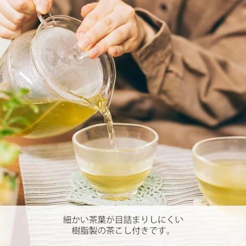 HARIO(ハリオ) 急須 茶茶 なつめ 実用容量700ml 耐熱ガラス ティーポット CHRN-4N｜hiroes｜06