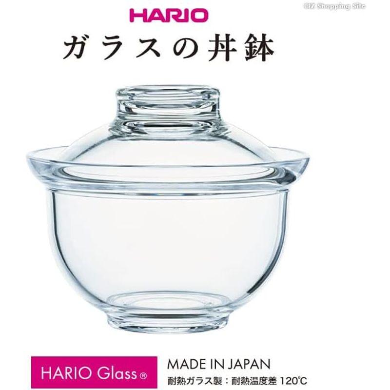 HARIO ガラスの丼鉢 GXD-600｜hiroes｜05