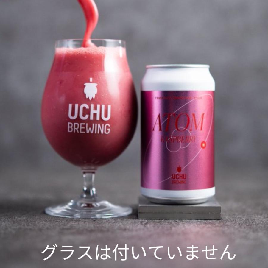 うちゅうブルーイング アトムラズベリー UCHU BREWING ATOM RASPBERRY